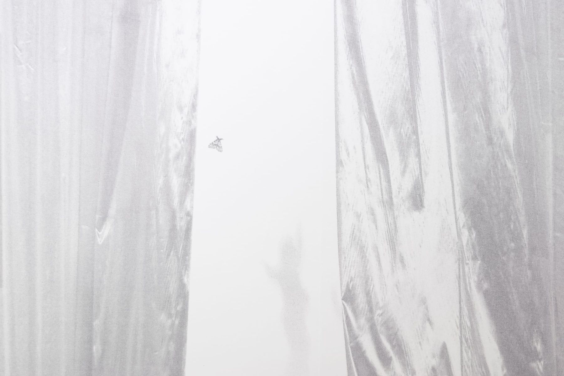 ©MARIA CLARA CASTIONI