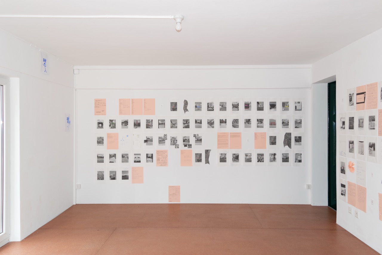 Maria Clara Castioni